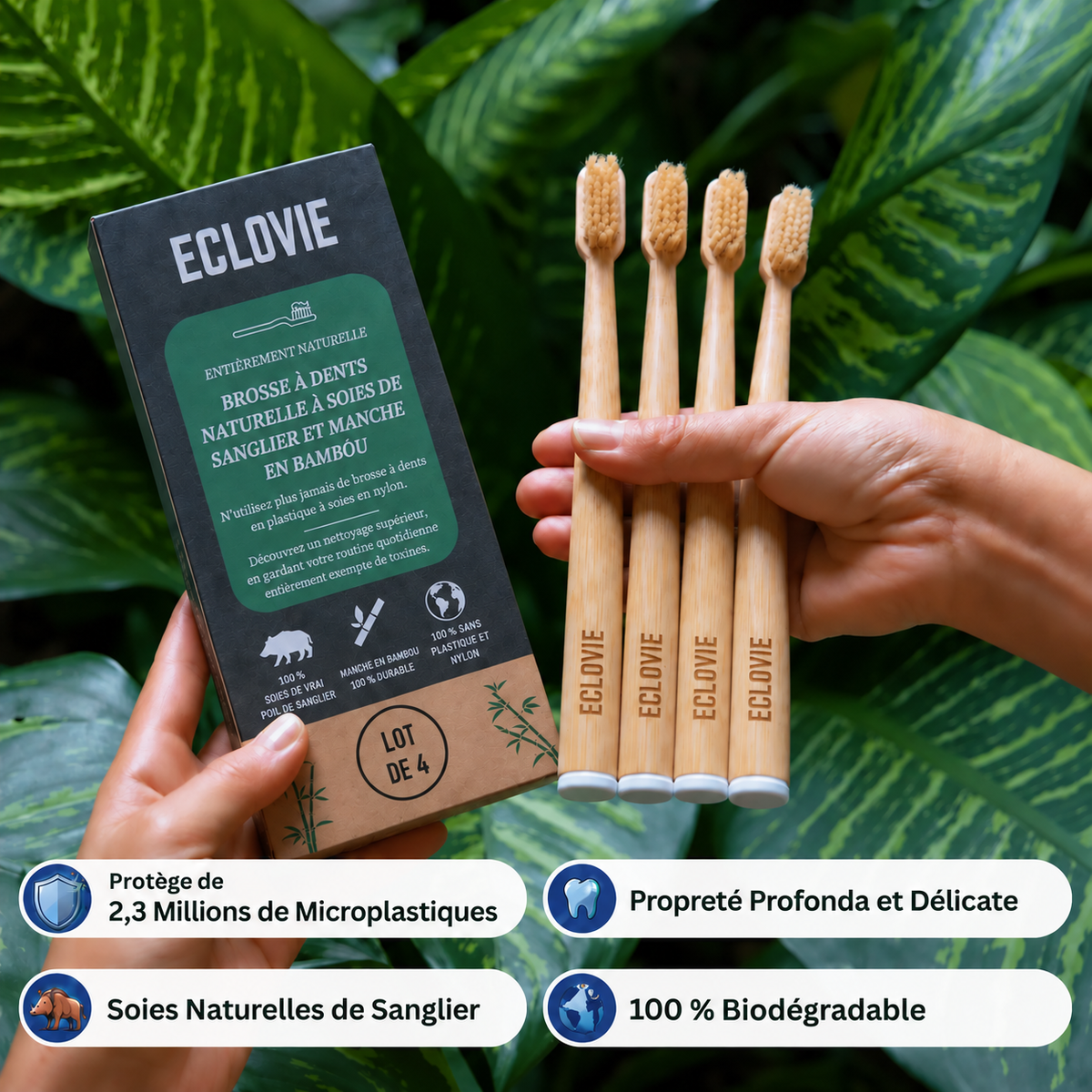 ÉCLOVIE Brosse à dents en soies de sanglier et bambou (Lot de 4)