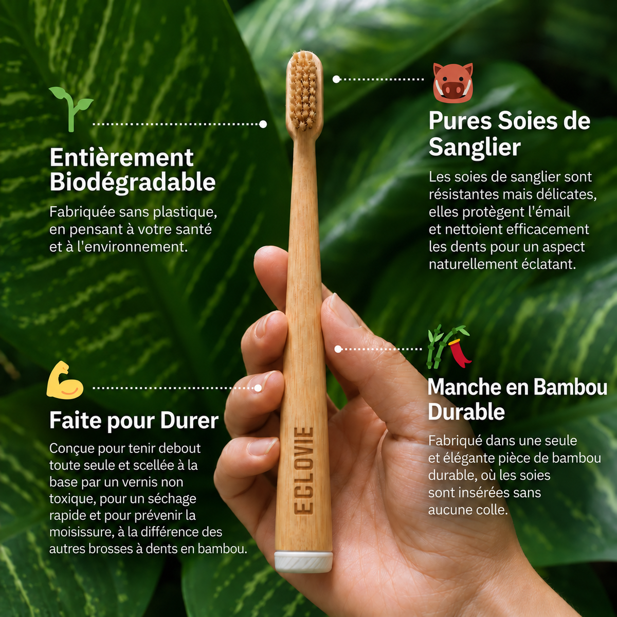ÉCLOVIE Brosse à dents en soies de sanglier et bambou (Lot de 4)