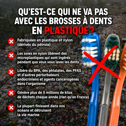 ÉCLOVIE Brosse à dents en soies de sanglier et bambou (Lot de 4)