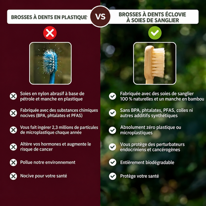 ÉCLOVIE Brosse à dents en soies de sanglier et bambou (Lot de 4)