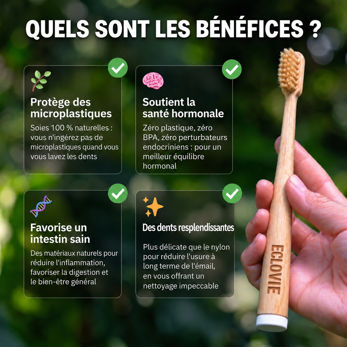 ÉCLOVIE Brosse à dents en soies de sanglier et bambou (Lot de 4)