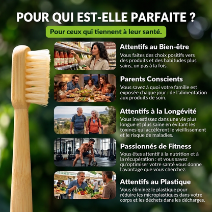 ÉCLOVIE Brosse à dents en soies de sanglier et bambou (Lot de 4)